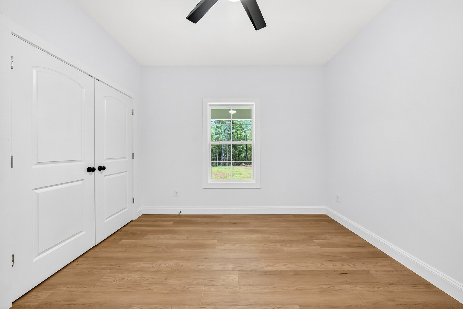 170 Willis Street - 1 property image