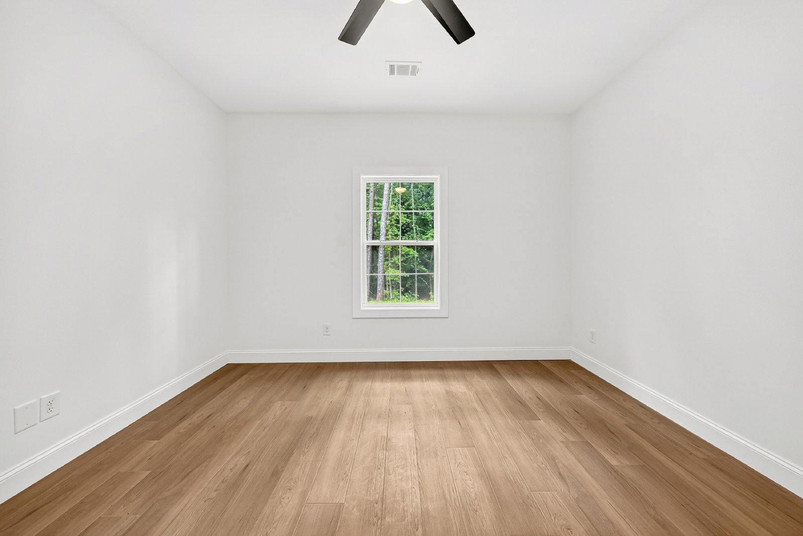 170 Willis Street - 1 property image